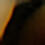 Tortoise/Spotted · 212 Tortoise/Spotted · 212
